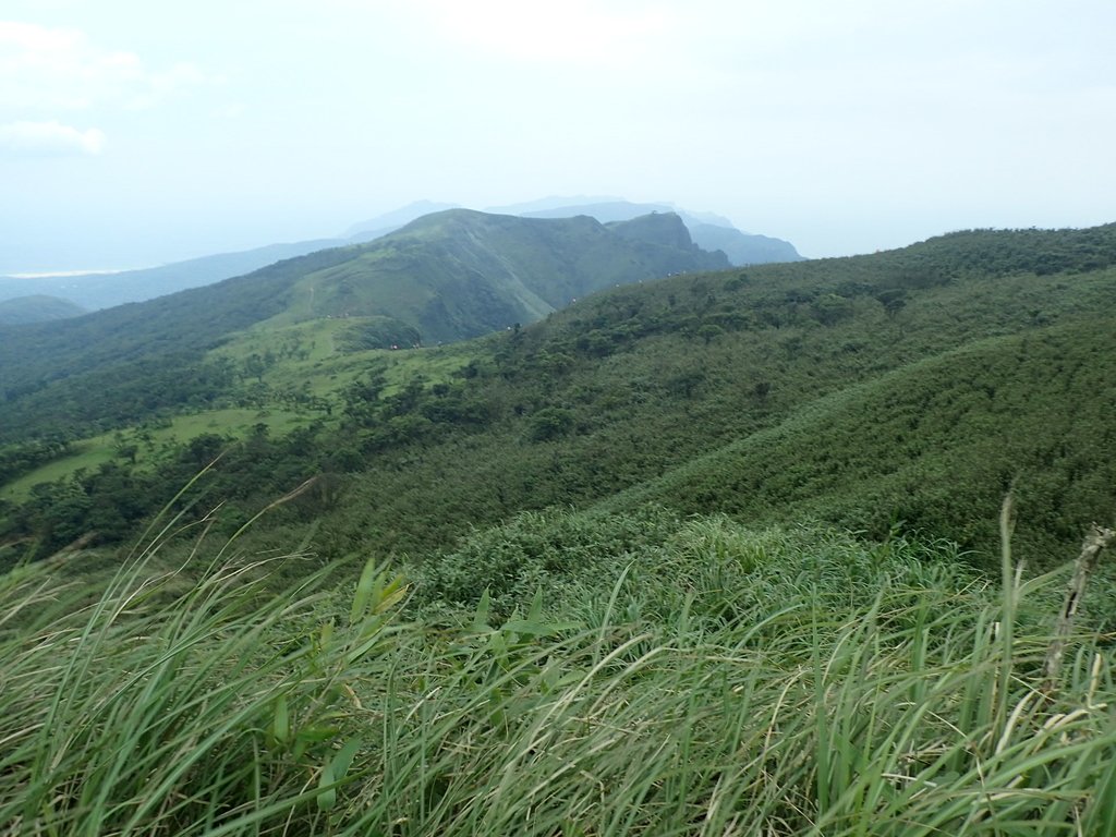 P5258763.JPG - 貢寮  桃源谷  灣坑頭山