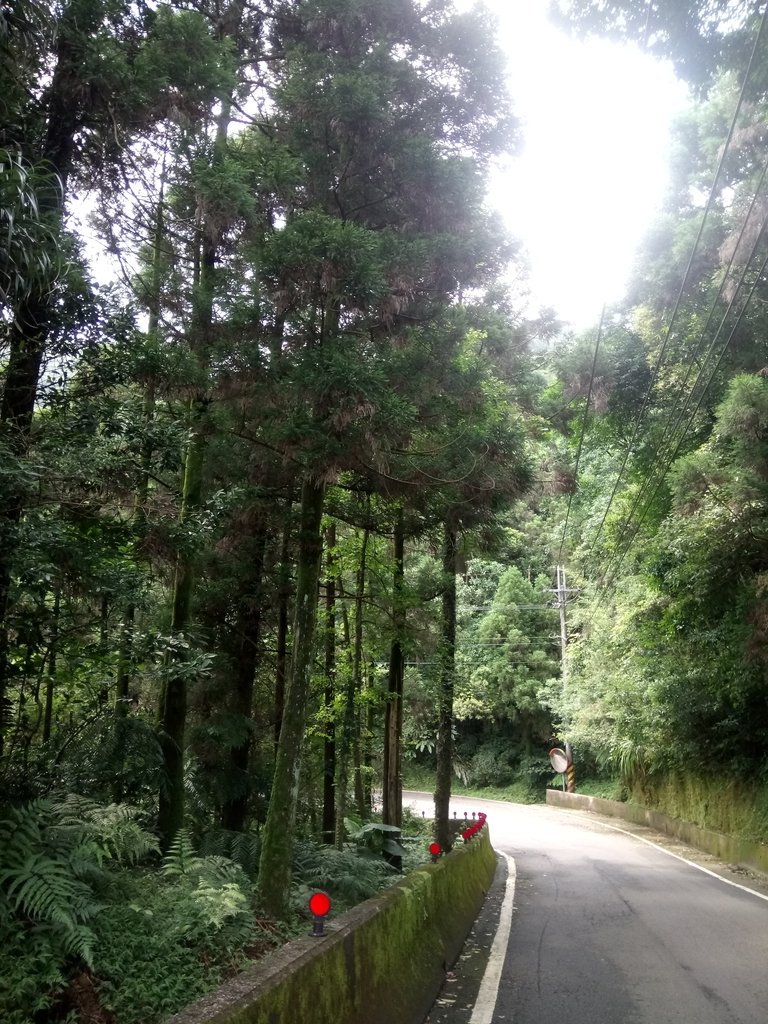 DSC_6599.JPG - 平溪  五分山登山步道