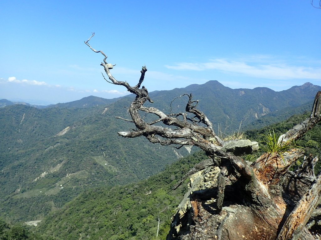 P3167267.JPG - 谷關  屋東縱走