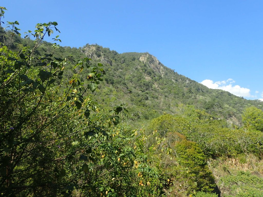 P2275990.JPG - 太平  暗影山(酒桶山)