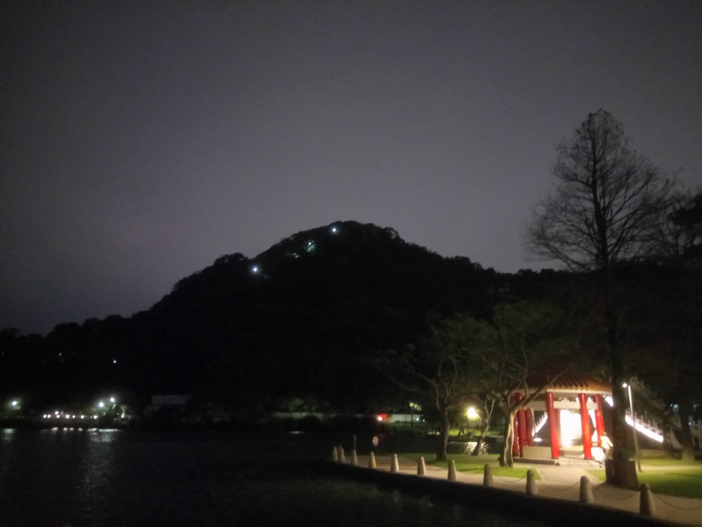 DSC_9317.JPG - 內湖  大湖公園之夜色