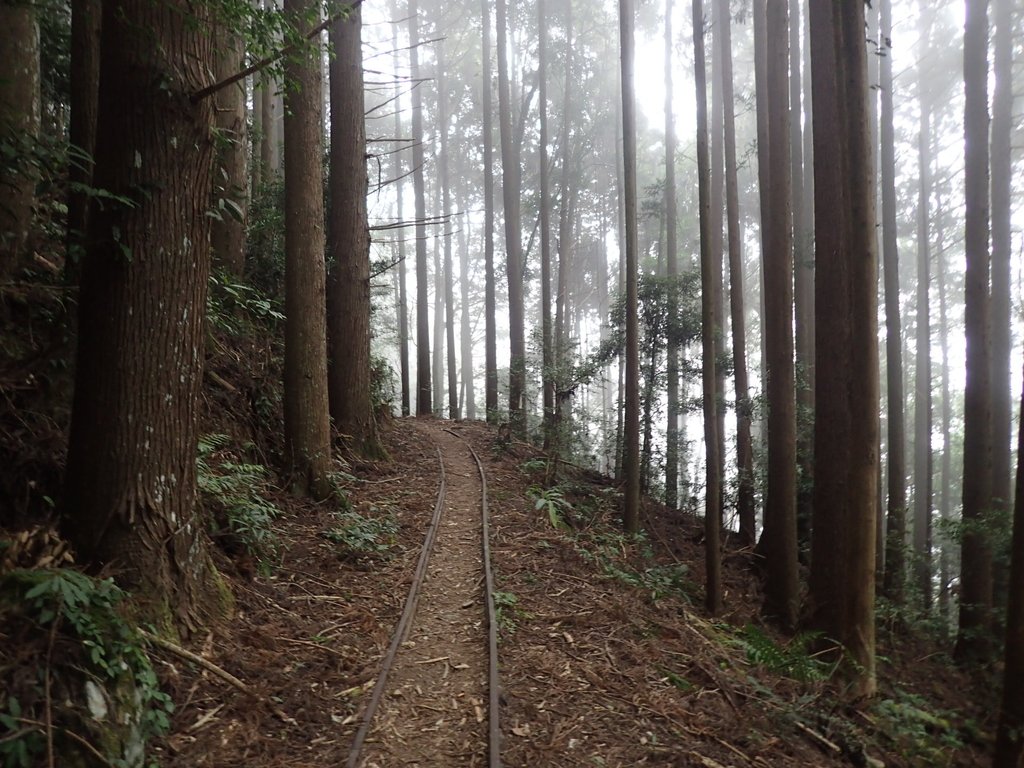 P2034993.JPG - 南庄  加里山  森林鐵道