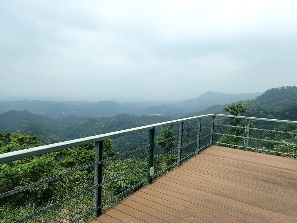 P4191945.JPG - 南庄  細湖頂  晴園山莊