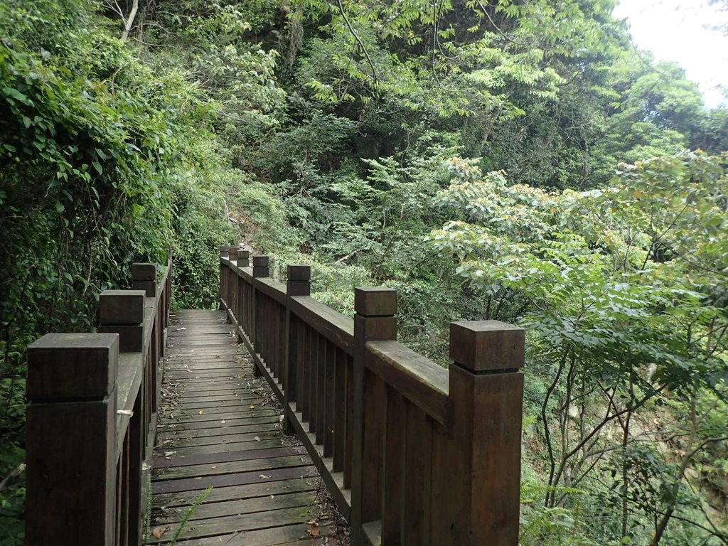 P6054032.JPG - 谷關  斯巴可步道