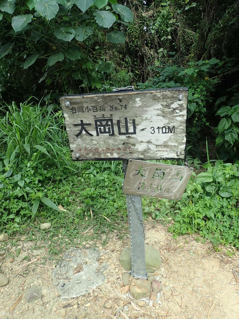 P9189248.JPG - 岡山  大崗山登山步道