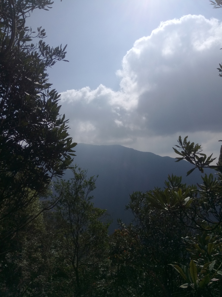 DSC_4096.JPG - 魚池  大尖山登山步道