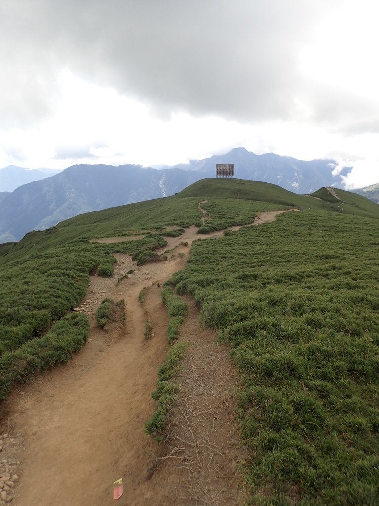 P7245989.JPG - 合歡山  北峰之美  (中)