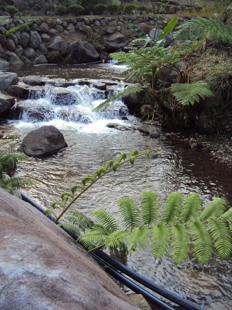 DSC09022.JPG - 金山  兩湖  萬順農場