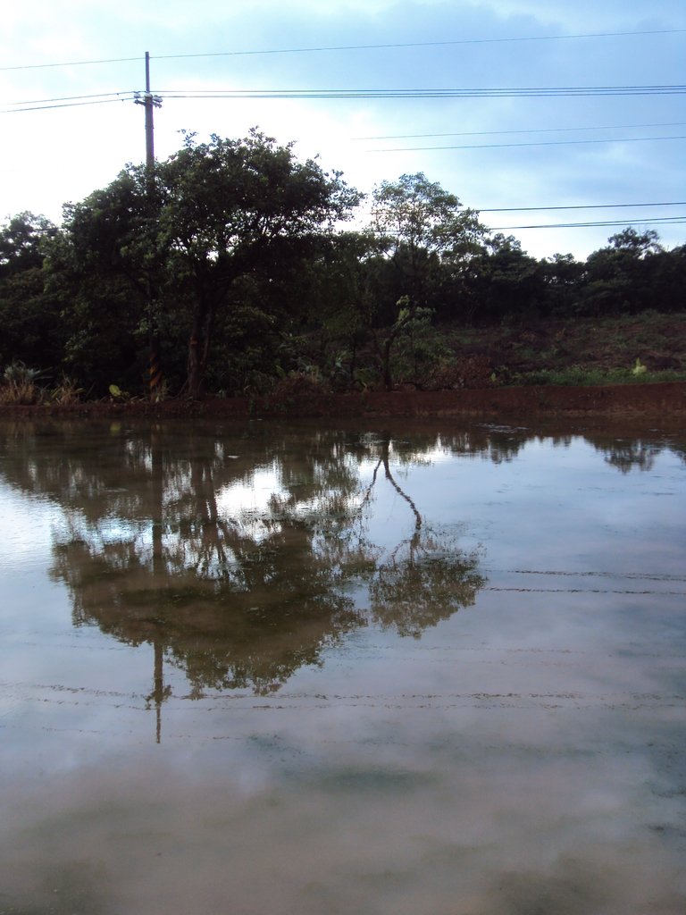 DSC09130.JPG - 石門  水塘映像