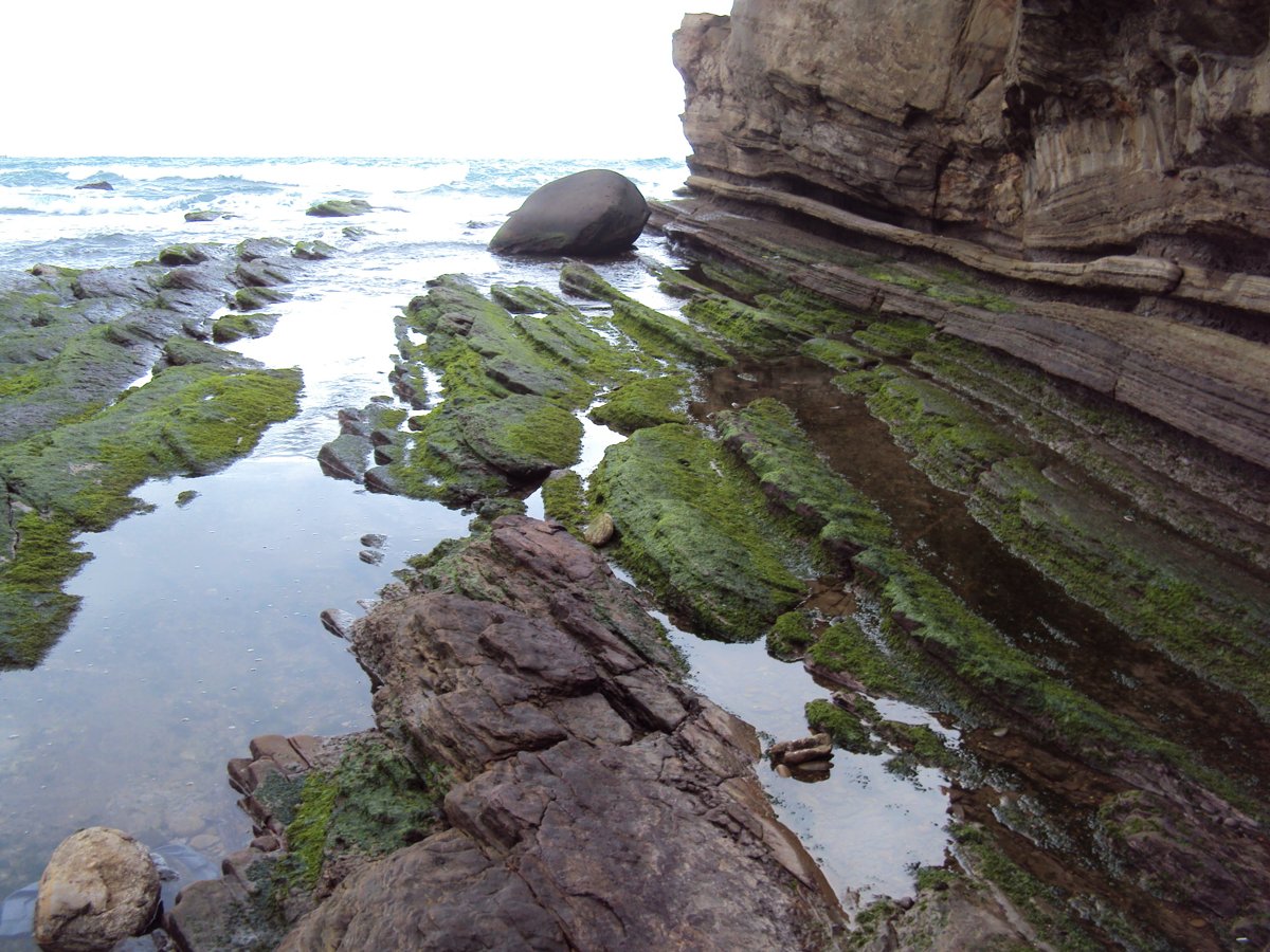 DSC06339.JPG - 瑞芳  南雅海岸岩石之美