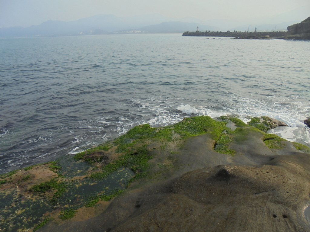 DSC01699.JPG - 金山  獅頭山  神秘海岸