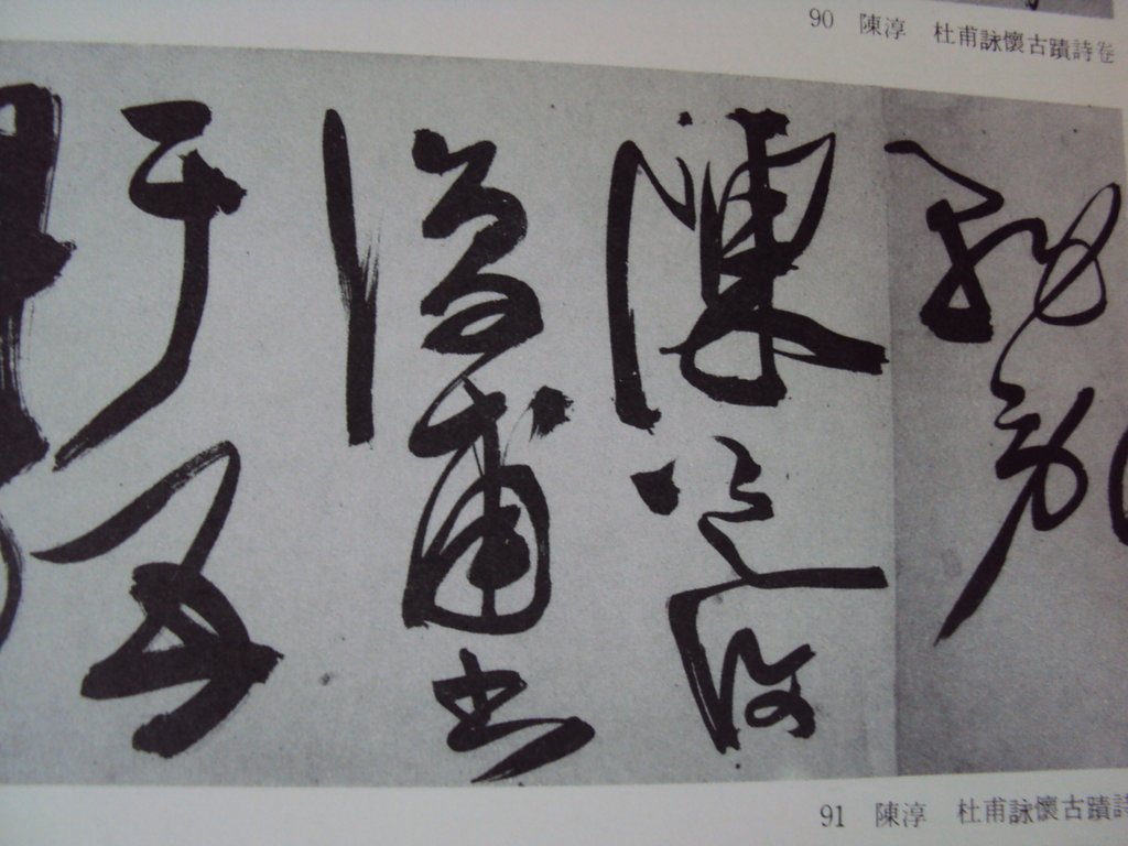 DSC00003.JPG - 陳淳的草書作品