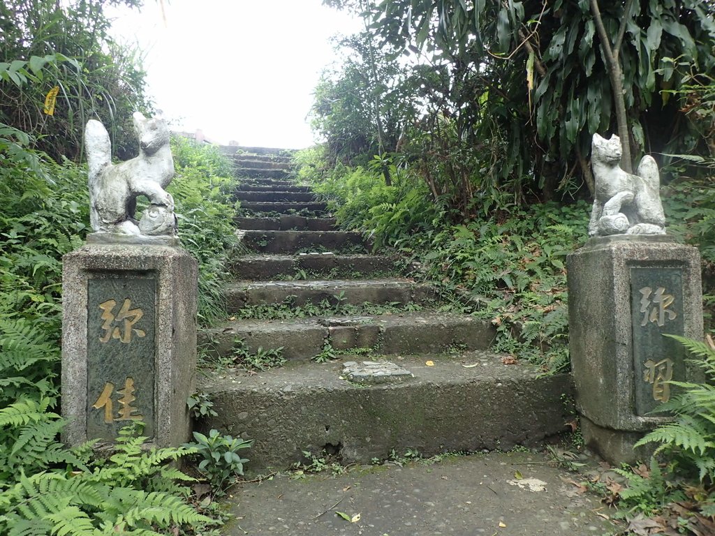 P1233786.JPG - 再訪---  基隆  紅淡山