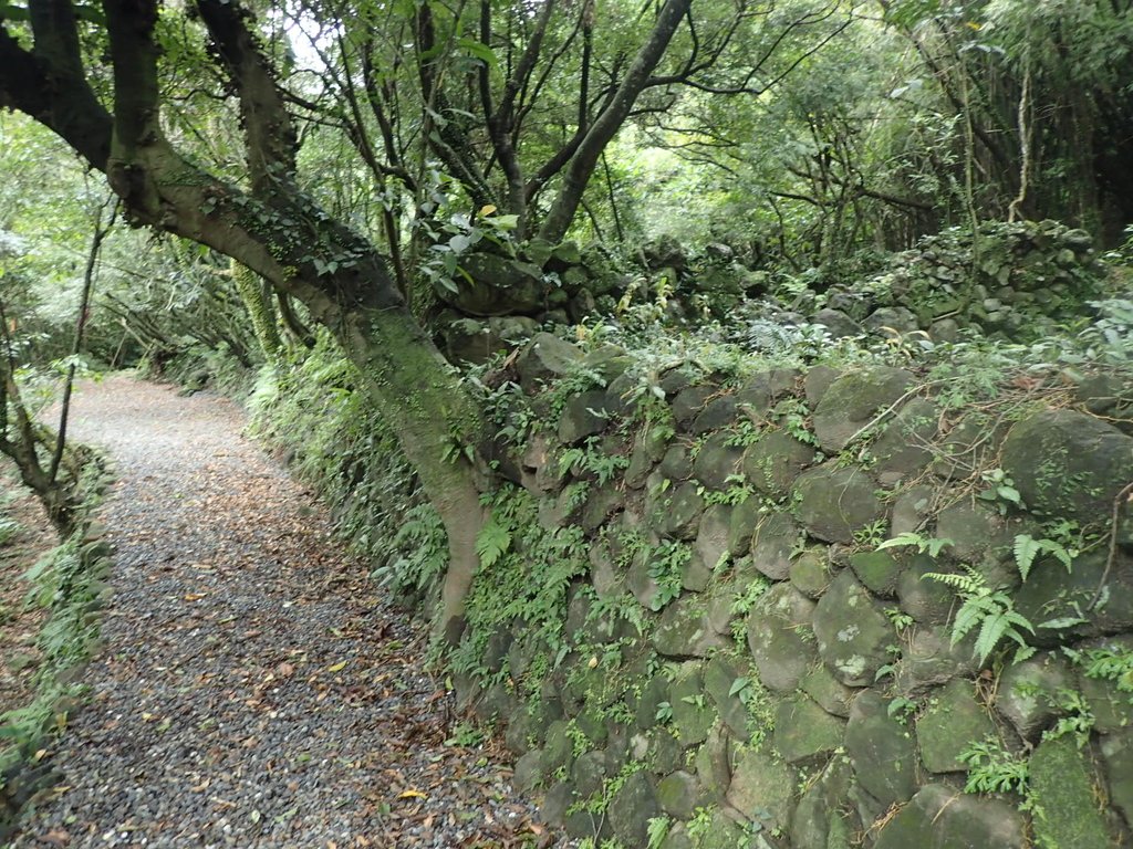 P1274428.JPG - 瑞芳  燦光寮古道初探