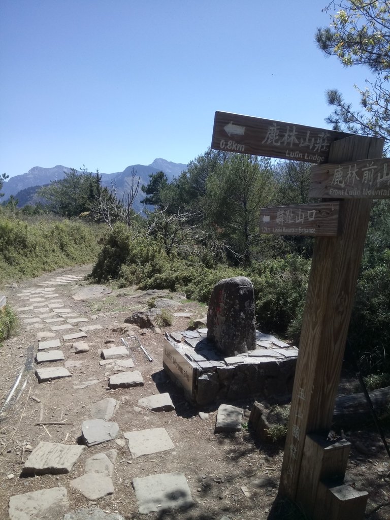 DSC_1688.JPG - 鹿林山  麟趾山步道  (02)