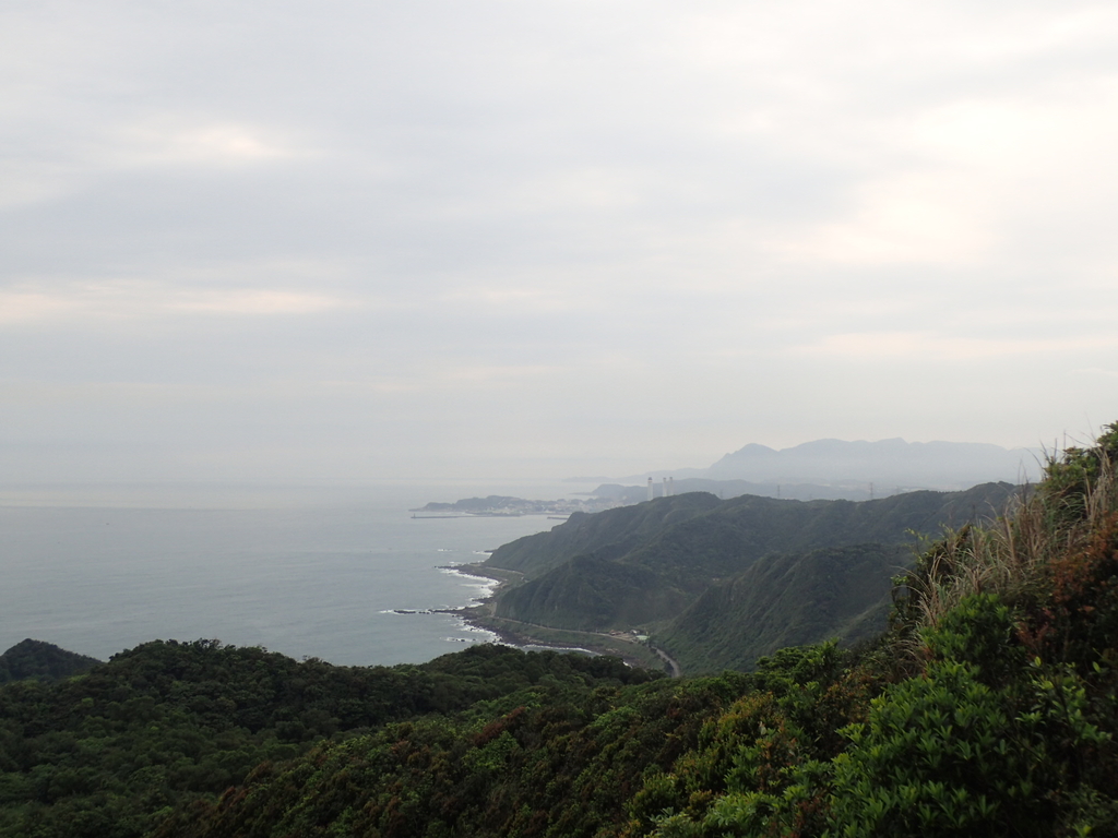 P3308217.JPG - 萬里  瑪鋉山  (望洋崖)