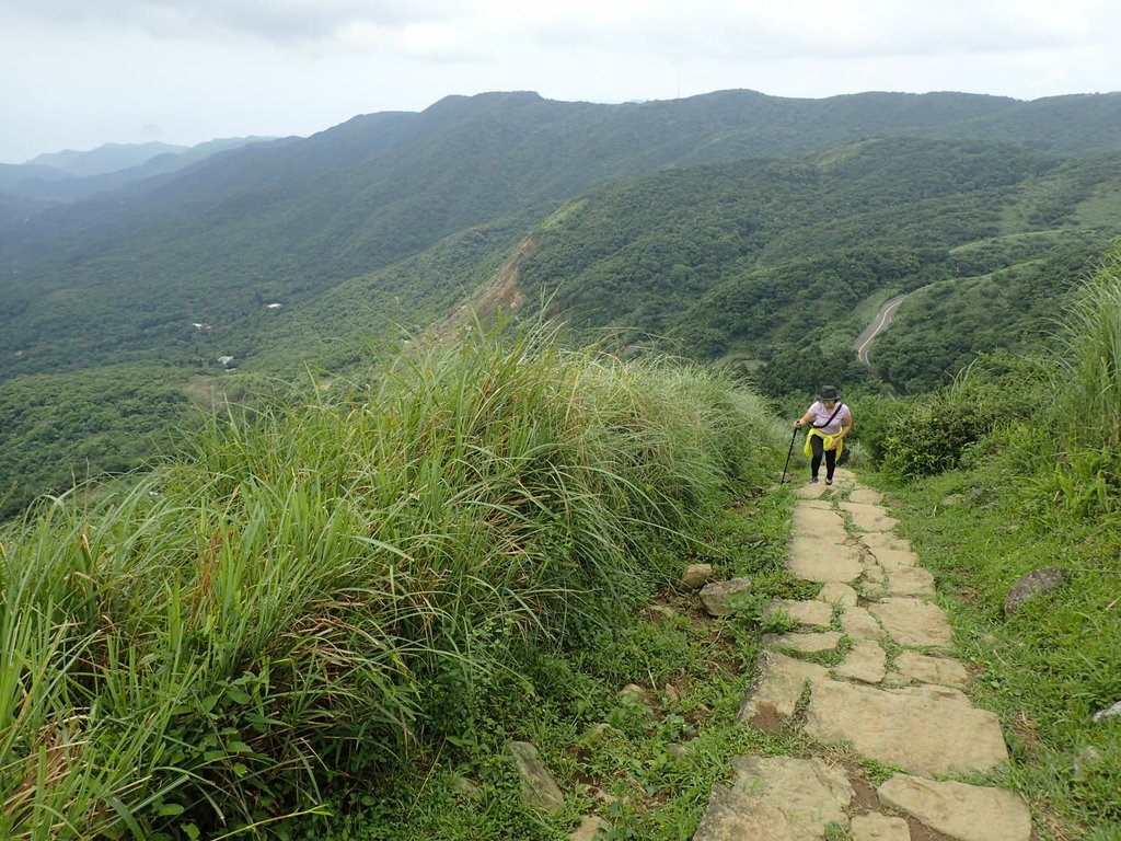 P5303954.JPG - 萬里  風櫃嘴  頂山