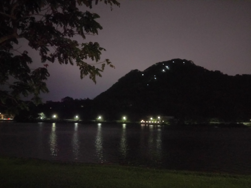 DSC_9318.JPG - 內湖  大湖公園之夜色