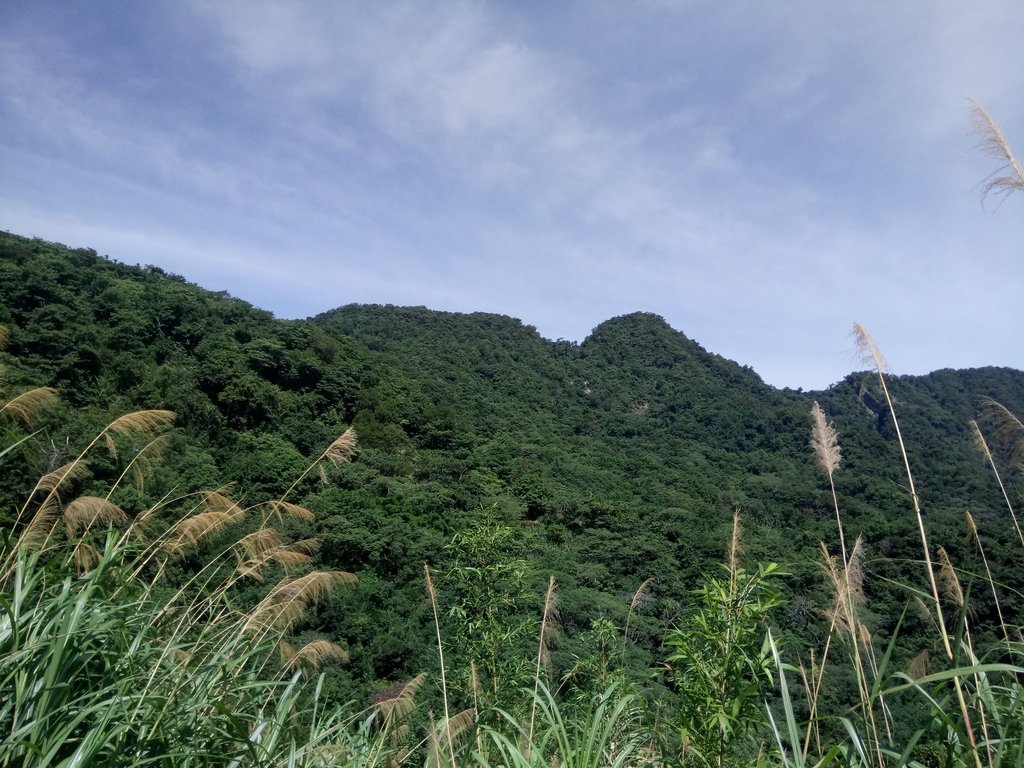 DSC_2581.JPG - 國姓  大橫屏山