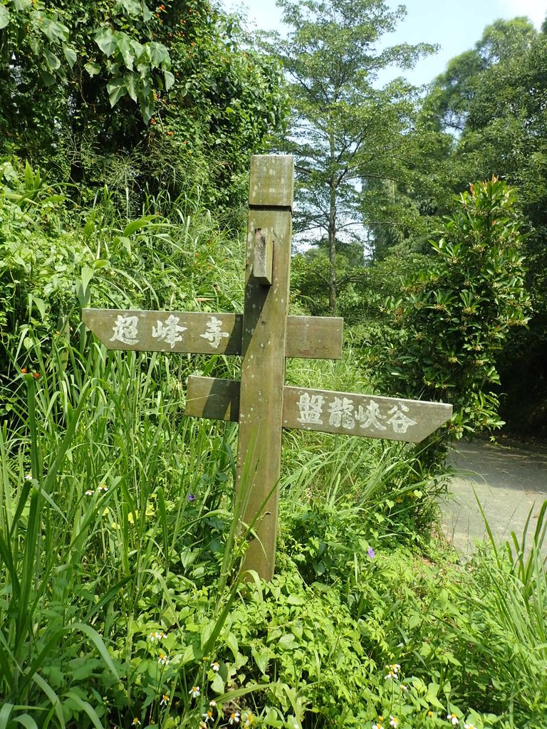 P9189249.JPG - 岡山  大崗山登山步道