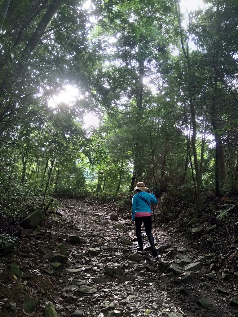 DSC_5166.JPG - 台中和平  長壽山登山步道  (上)