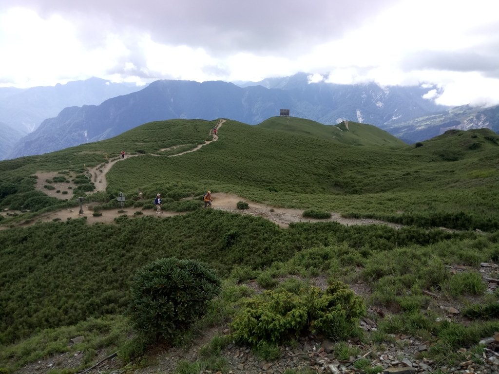 DSC_5400.JPG - 合歡山  北峰之美  (中)