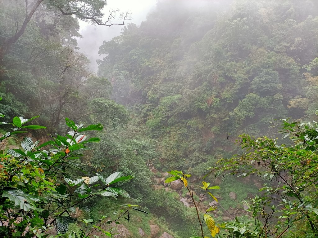 IMG20210108123701.jpg - 梅山  瑞峰村  竹坑溪步道