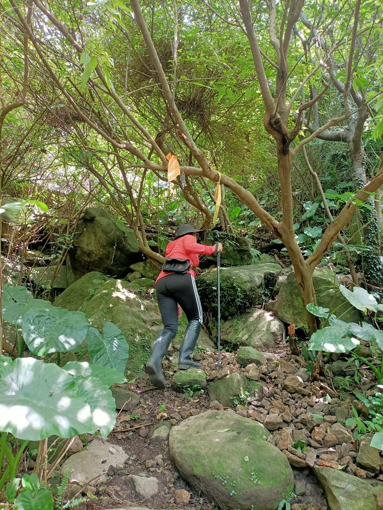 IMG20210430103932.jpg - 瑞芳  雞籠山東峰  (雷霆峰)