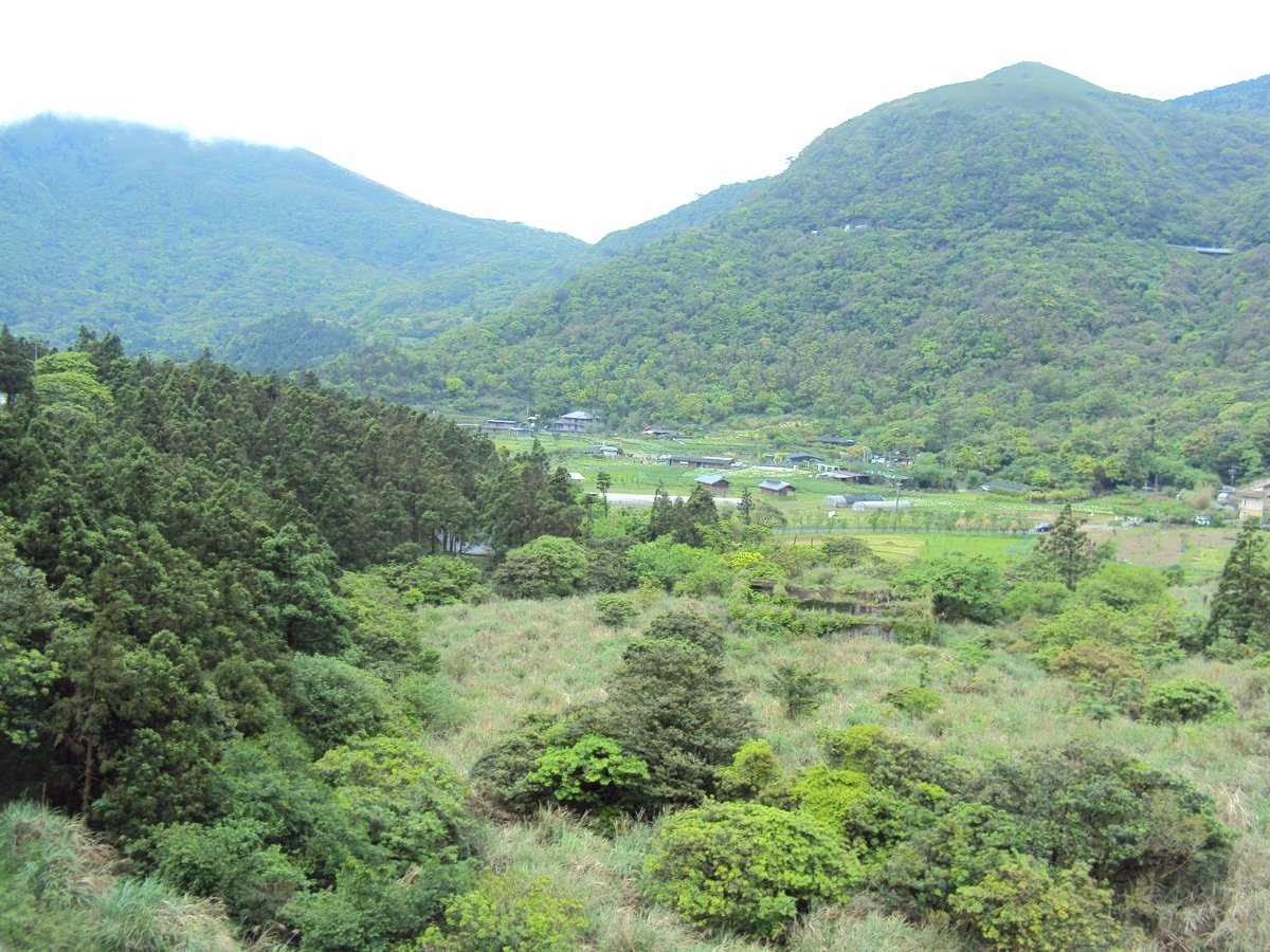 DSC05230.JPG - 竹子湖海芋步道