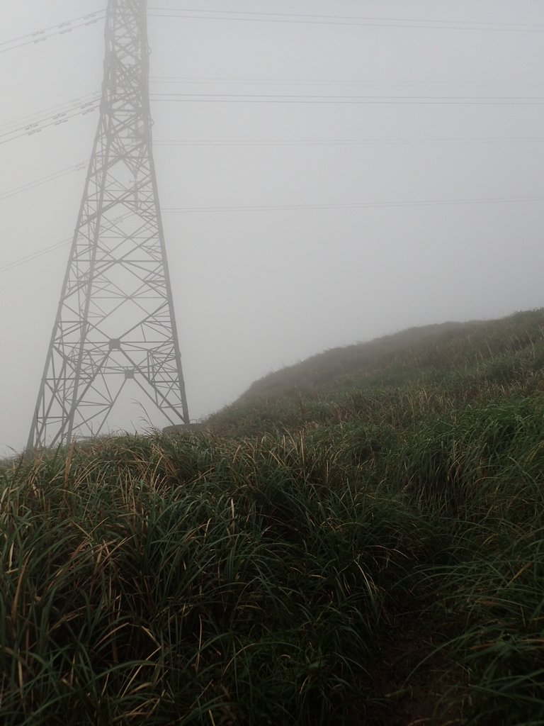 P1203431.JPG - 瑞芳  牡丹山