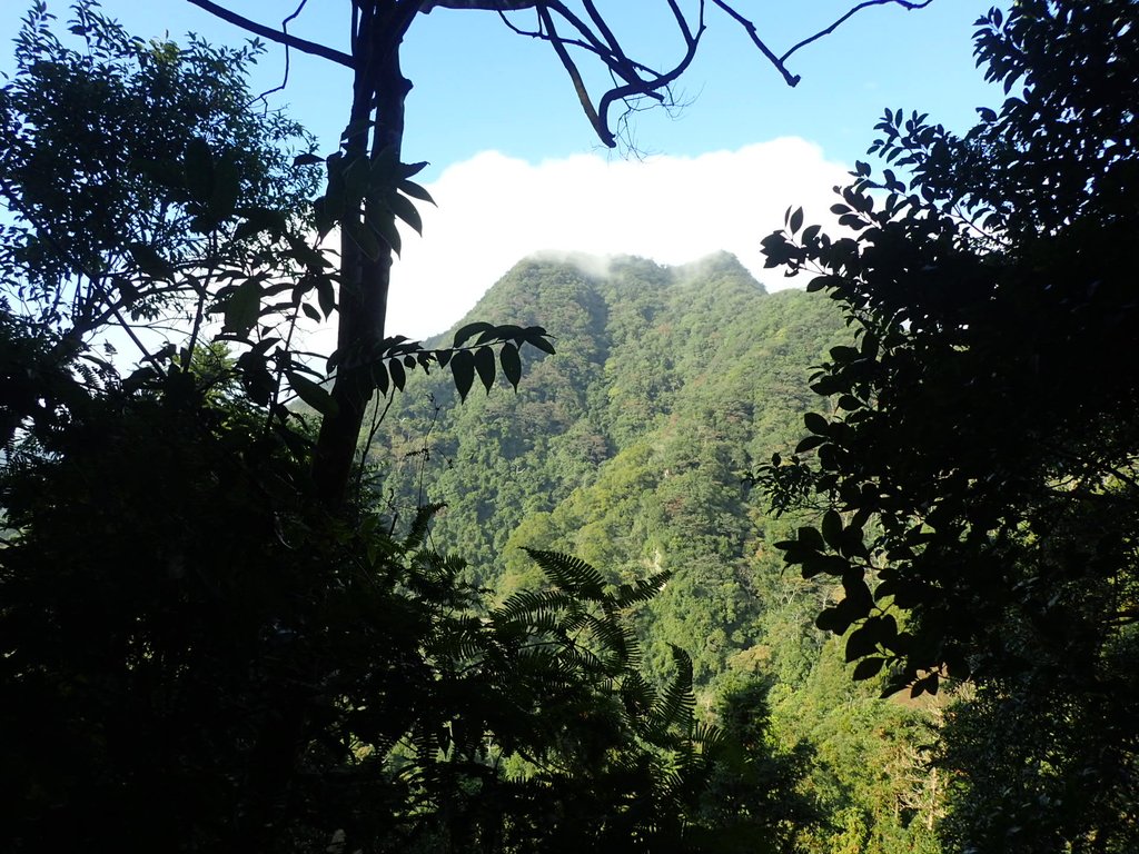 PC010638.JPG - 獅潭  仙山