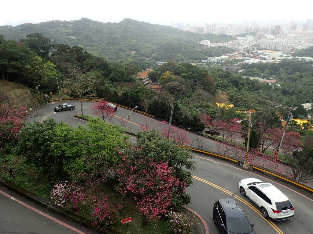 P2178164.JPG - 中和  南勢角山  (烘爐地)