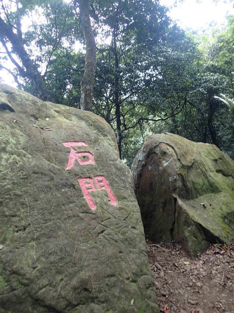 PA064405.JPG - 大湖  馬那邦山  (02)