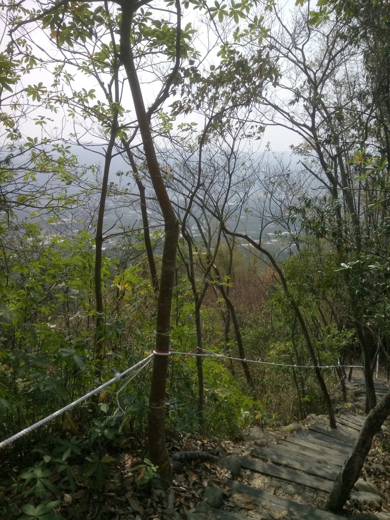 DSC_7298.JPG - 草屯平林  九九峰森林步道