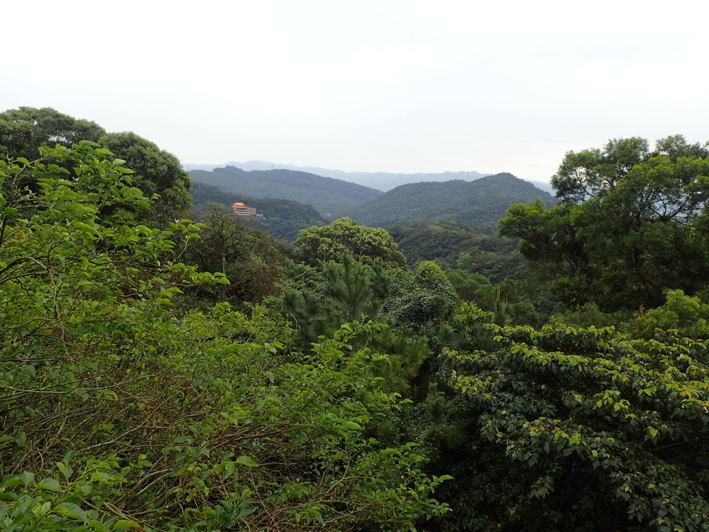 P3160042.JPG - 汐止  柯子林山  如意湖