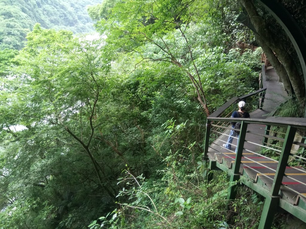 DSC_0973.JPG - 花蓮  太魯閣  小錐麓步道