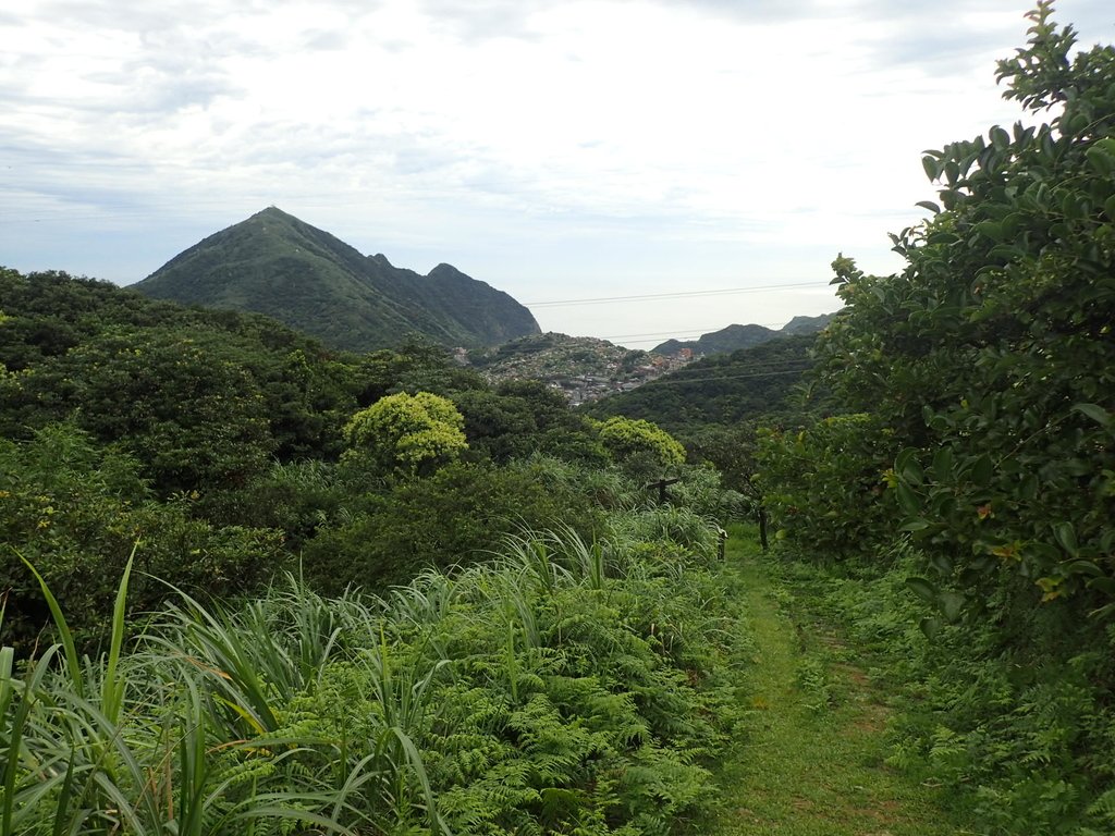 P7062099.JPG - 九份  小粗坑越嶺古道