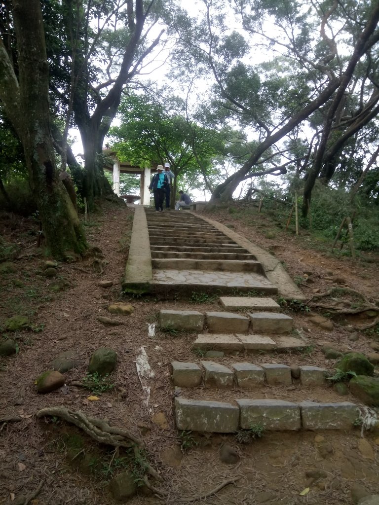 DSC_5887.JPG - 芎林  飛鳳山  (中坑山)