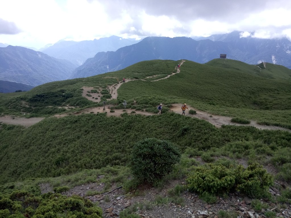 DSC_5402.JPG - 合歡山  北峰之美  (中)