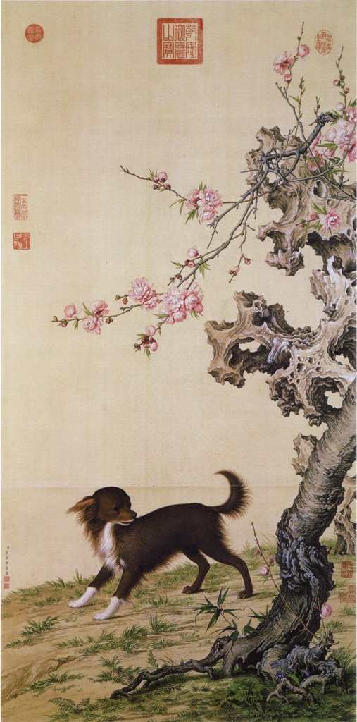 Dog_Under_Flowers.jpg - 郎世寧的工筆寫真畫