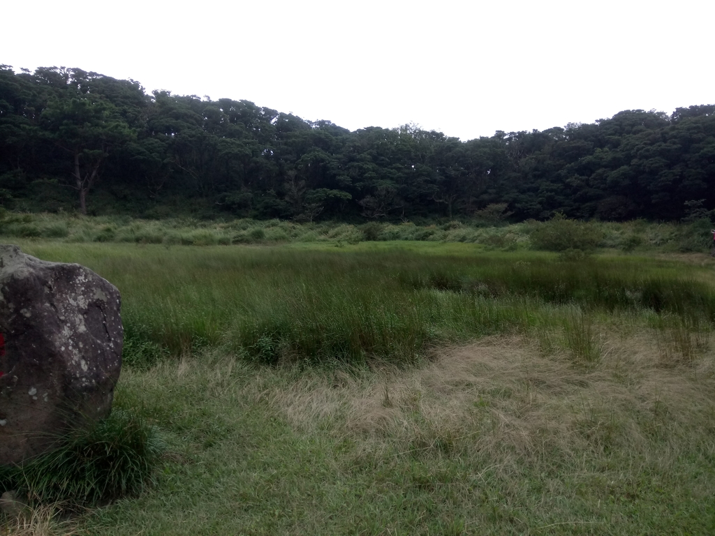 DSC_6916.JPG - 北投  面天山  向天湖步道