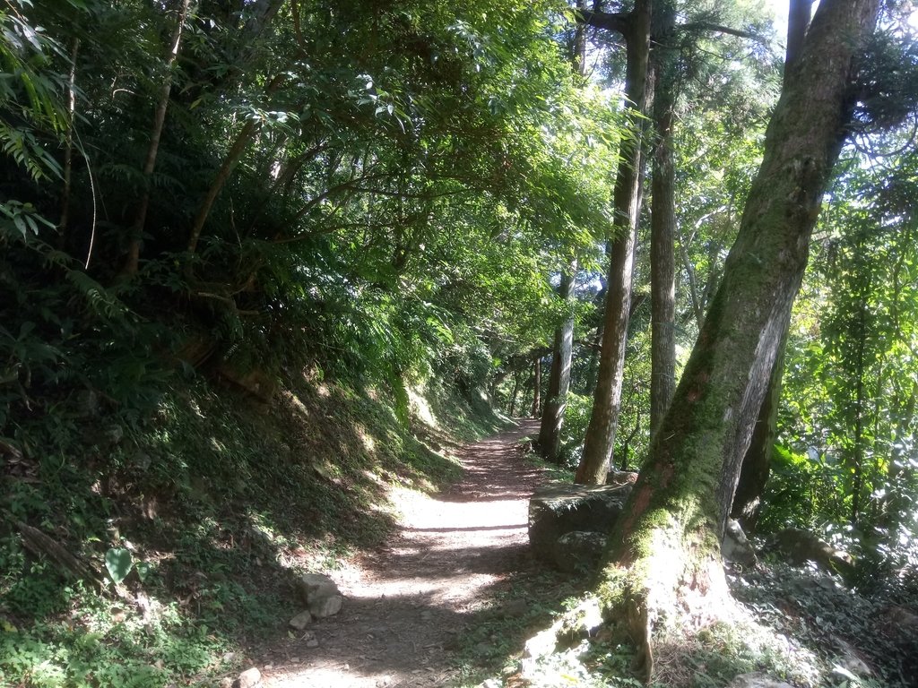 DSC_9010.JPG - 復興  東滿步道