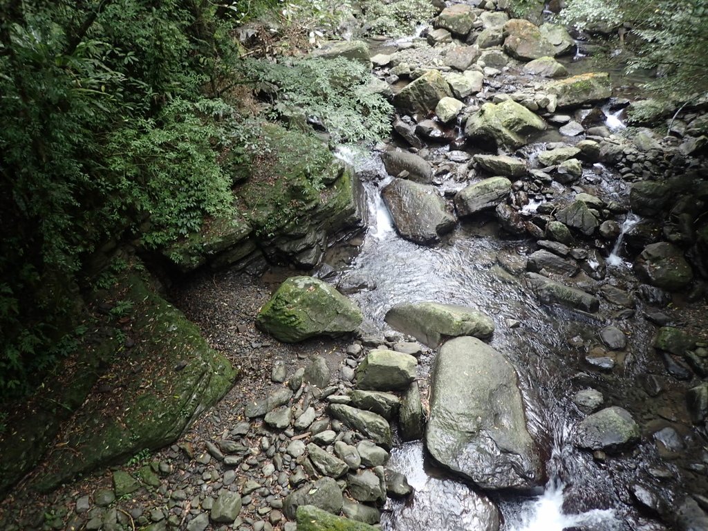 P3028992.JPG - 三峽  滿月圓森林遊樂區