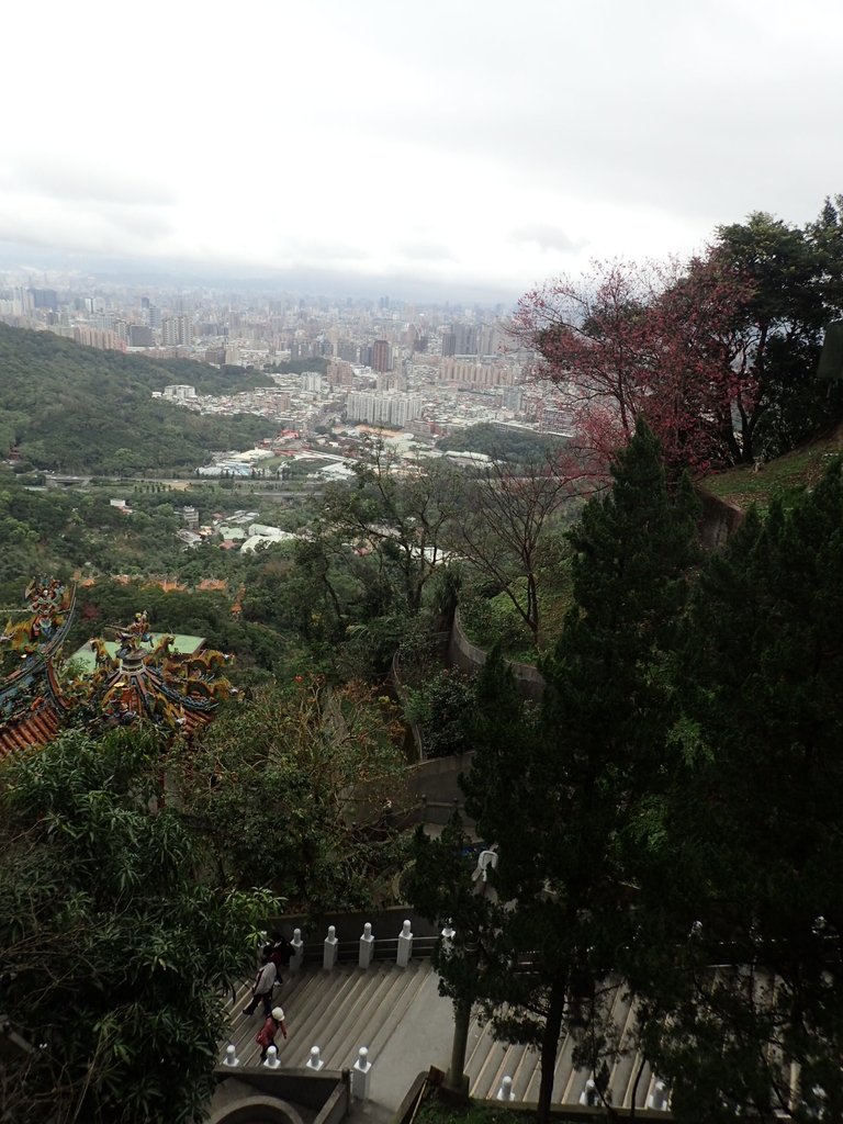 P2178183.JPG - 中和  南勢角山  (烘爐地)