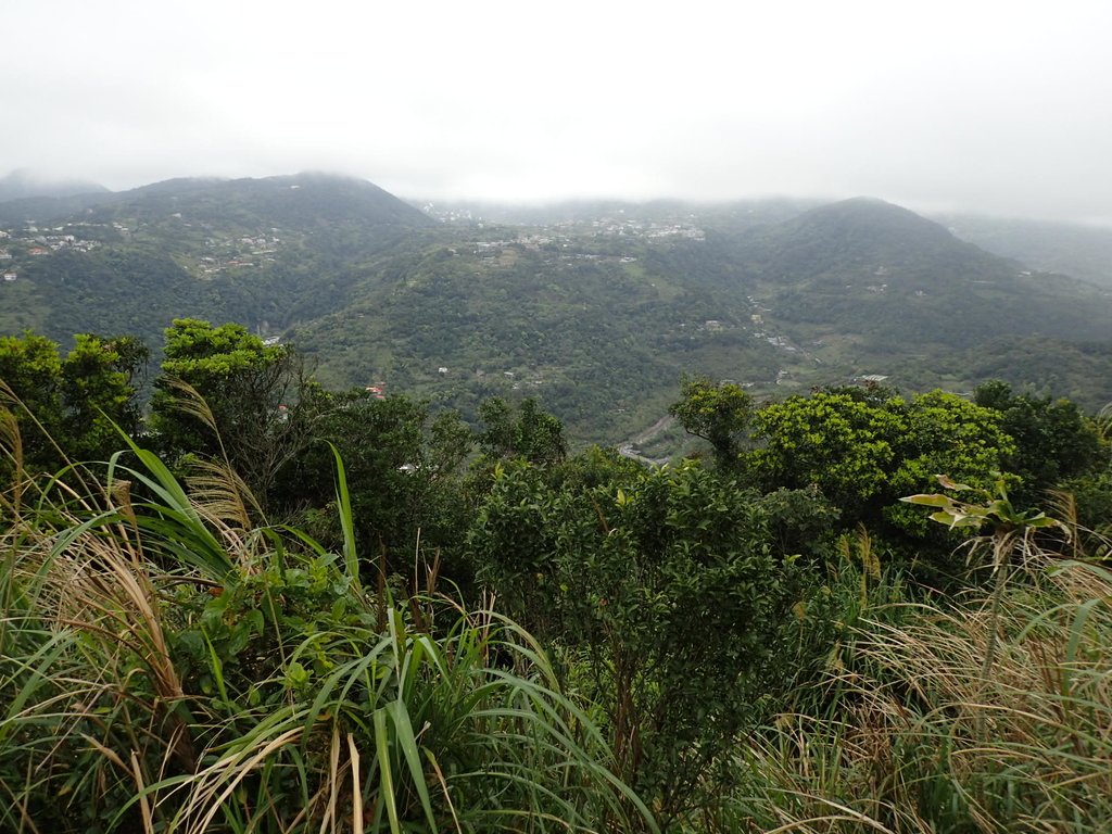 P2288779.JPG - 內湖  大崙尾山