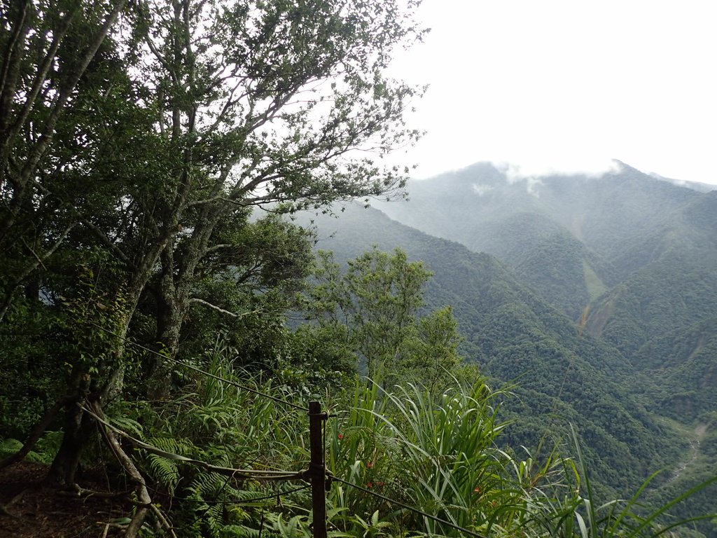 P8287291.JPG - 苗栗  泰安  虎山行