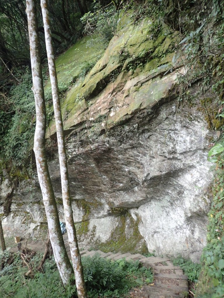 PA231749.JPG - 石壁山  嘉南雲峰步道