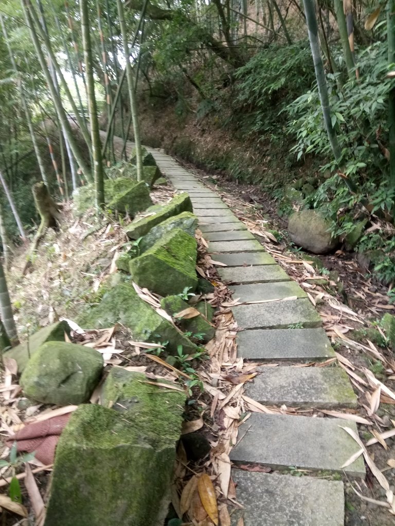 DSC_0557.JPG - 鹿谷  長源圳古道