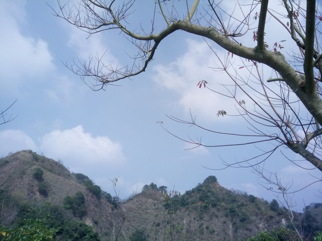 DSC_7352.JPG - 草屯平林  九九峰森林步道