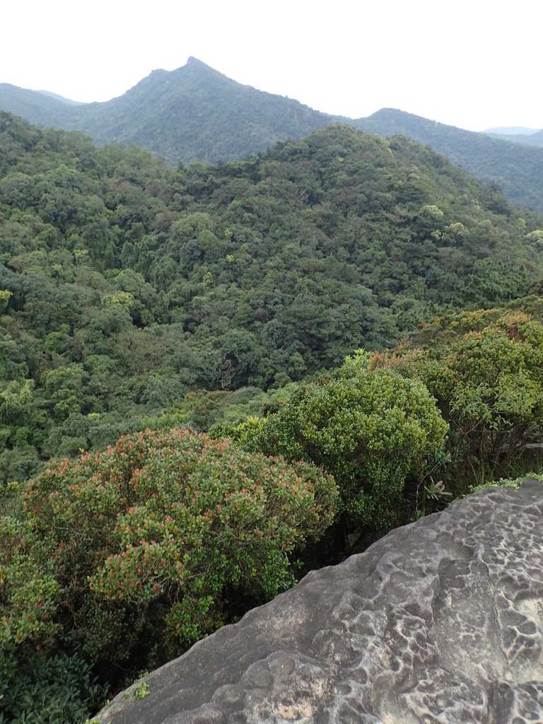 P3160062.JPG - 汐止  柯子林山  如意湖